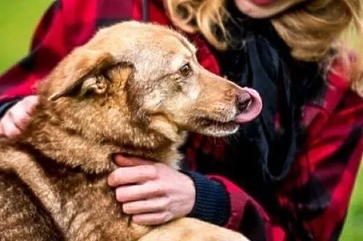 Nic tak nie ogrzeje serca, jak zimny nosek Novej, 