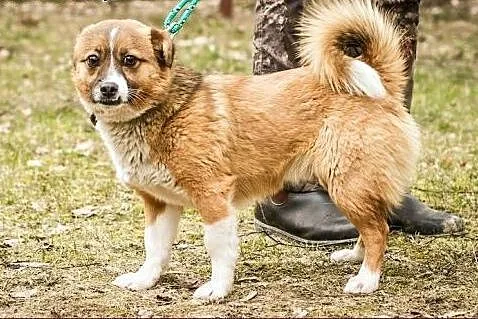 Ale Ciacho! :),  warmińsko-mazurskie Olsztyn