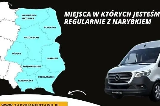 Narybek pstrąg, Lubelskie, Biała Podlaska