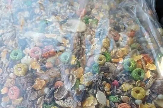 Proso żółte, pokarm dla zeberki, gołąbka, Dla gryzoni czytaj opis, Mazowieckie, Czosnów