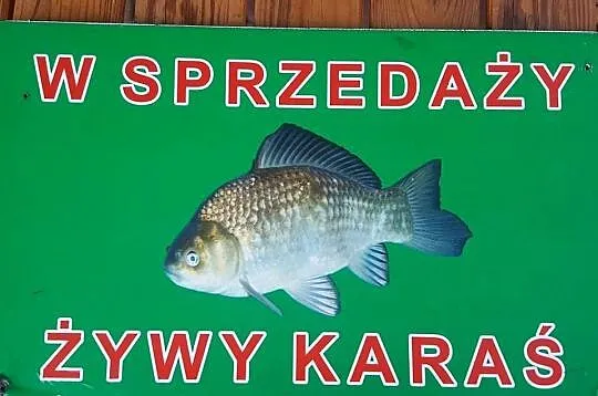 NOWOŚCI W SKLEPIE WĘDKARSKIM W ŁĘGU TARNOWSKIM, Małopolskie, Łęg Tarnowski