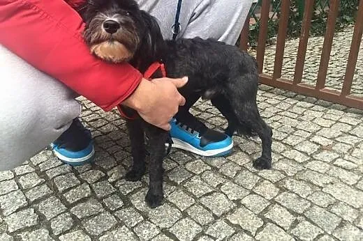 Gaborek szuka spokojnego kącika :),  mazowieckie W