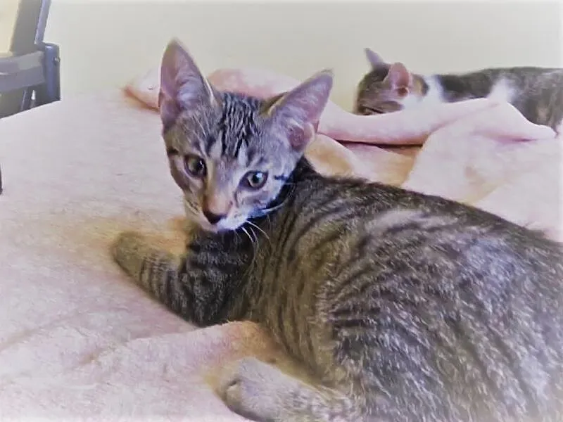 Pablo, Guido, Inez i Wera
