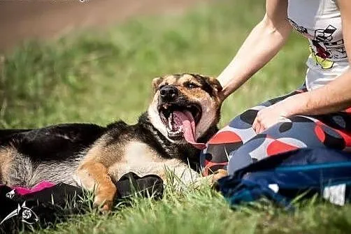Młoda i rezolutna, jej miłośc jest absolutna! SARA
