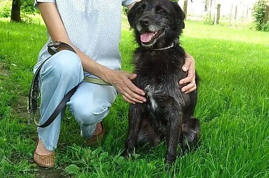 Rufus został sam na świecie