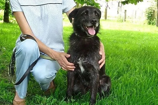 Rufus został sam na świecie, Podlaskie, Białystok