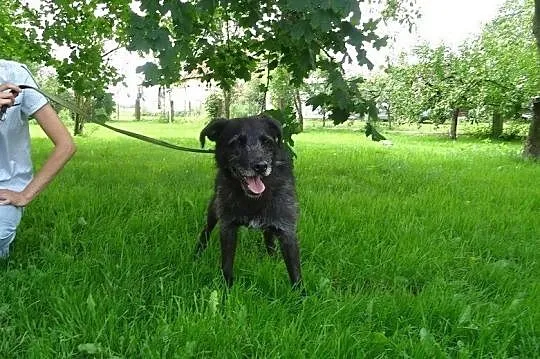 Rufus został sam na świecie, Podlaskie, Białystok