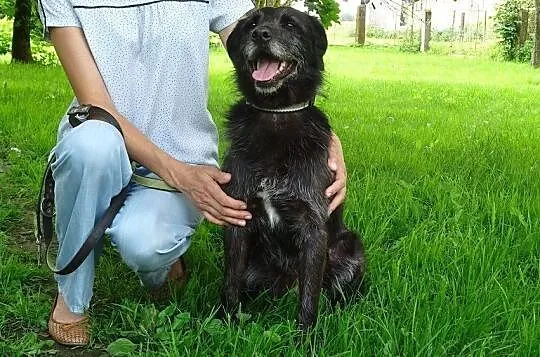 Rufus został sam na świecie, Podlaskie, Białystok