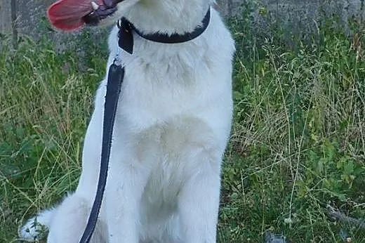 Tori- wyjątkowa i jedyna w swoim rodzaju,  łódzkie