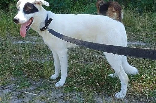 Tori- wyjątkowa i jedyna w swoim rodzaju,  łódzkie