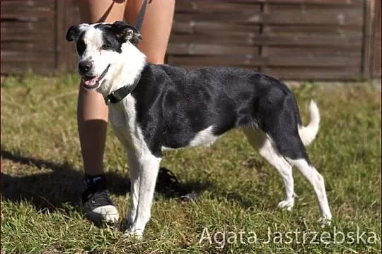 Ida - przyjaciółka dużych i małych :)