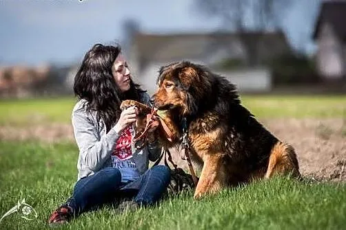BROOKLYN - pokochaj psa!,  mazowieckie Warszawa