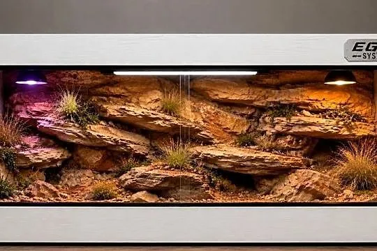 Terrarium specjalistyczne dla żółwia greckiego gekona lamparciego