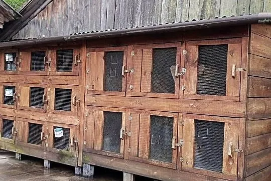 Sprzedam klatki dla królików, Lubelskie, Annopol
