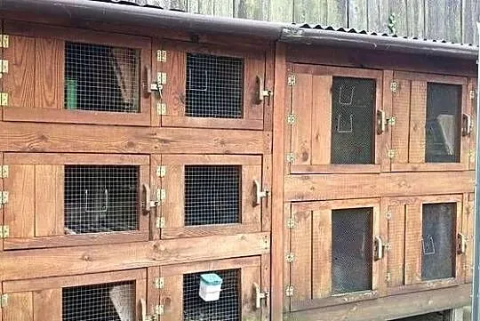 Sprzedam klatki dla królików, Lubelskie, Annopol