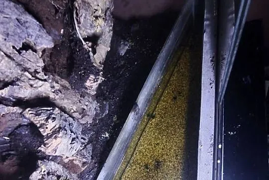 Terrarium/Paludarium  z  odgrodzoną częścią wodną, Kujawsko-pomorskie, Bartniczka