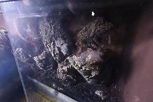 Terrarium/Paludarium  z  odgrodzoną częścią wodną, Kujawsko-pomorskie, Bartniczka
