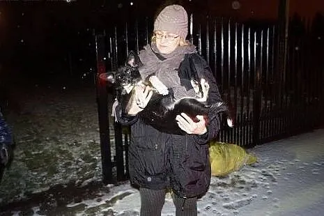 Amelka, 7 miesięczna sunia SZCZENIAK kochający cał