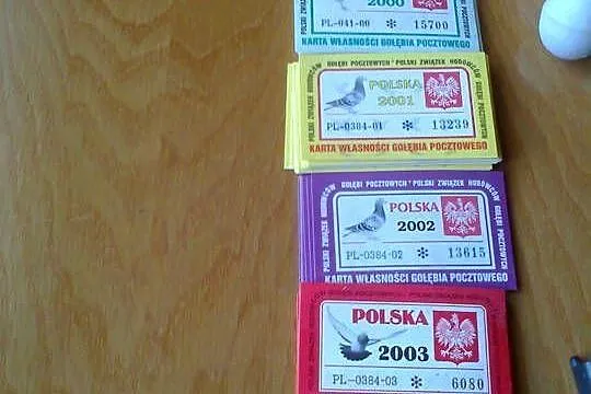 Tipesy karty znaczniki, Podlaskie, Łomża