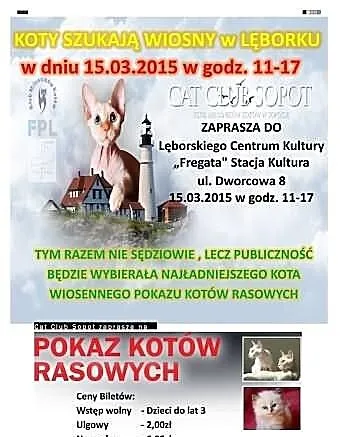 Wiosenny Pokaz Kotów Rasowych w Lęborku w dn. 15.0