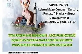 Wiosenny Pokaz Kotów Rasowych w Lęborku w dn. 15.0