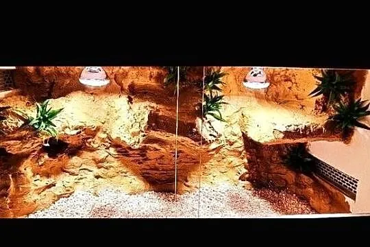 Terrarium dla gekona lamparciego żółwia greckiego