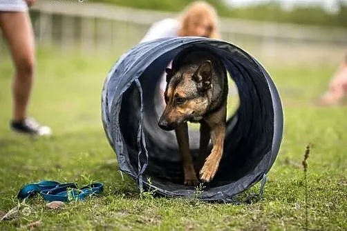 Kimba - jak tylko ją poznasz, od razu swe serce je