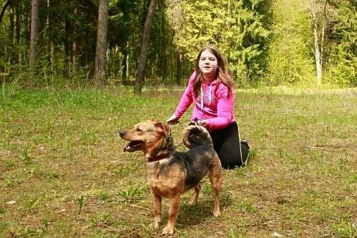 Klara - śliczna mała sunia czeka na DOM,  podlaski