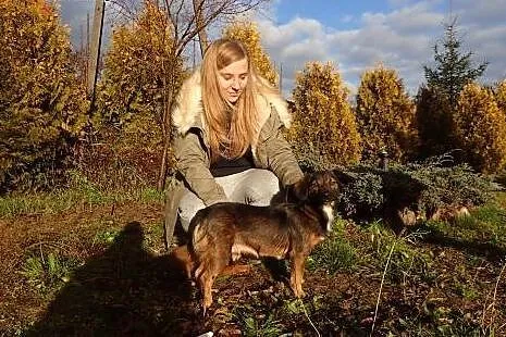 Zosia- mała sunia do adopcji ,  mazowieckie Warsza