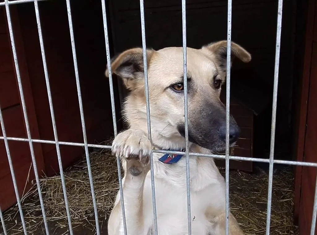 Kocham ludzi dzieci i świat pokochaj mnie i Ty daj mi domek o jakim marzę, Śląskie, Katowice