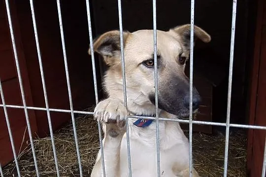 Kocham ludzi dzieci i świat pokochaj mnie i Ty daj mi domek o jakim marzę, Śląskie, Katowice