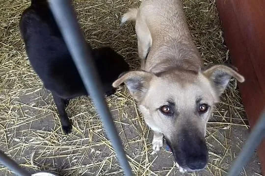 Kocham ludzi dzieci i świat pokochaj mnie i Ty daj mi domek o jakim marzę, Śląskie, Katowice