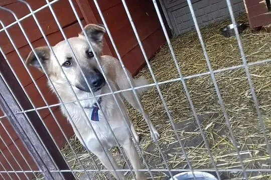 Kocham ludzi dzieci i świat pokochaj mnie i Ty daj mi domek o jakim marzę, Śląskie, Katowice