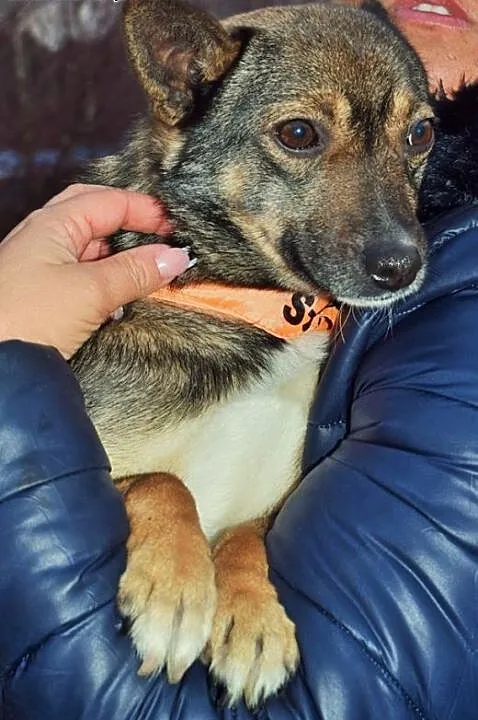Edzio – maleństwo wagi piórkowej, szuka