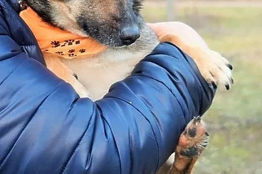 Edzio &#8211; maleństwo wagi piórkowej, szuka 
