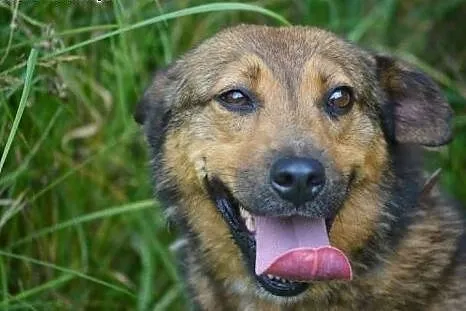 Idzie zima -  Britta spędzi ją w dziurawej budzie.