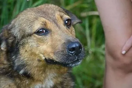 Idzie zima -  Britta spędzi ją w dziurawej budzie.