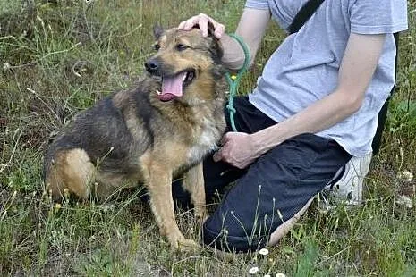 Idzie zima -  Britta spędzi ją w dziurawej budzie.