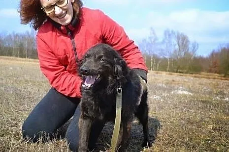 Czy ktoś wyciągnie go zza schroniskowych krat?,  m