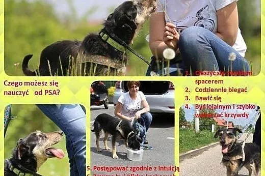 Podaruj mi dom!,  mazowieckie Warszawa