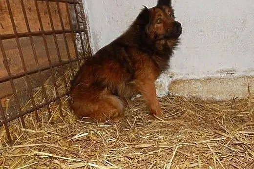 Felkowi grozi wywózka do Radys - umieralni daj mu 