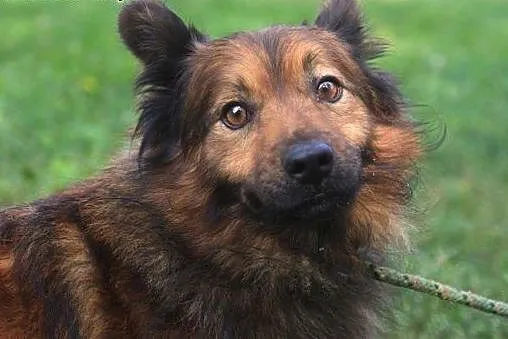 Felkowi grozi wywózka do Radys - umieralni daj mu 