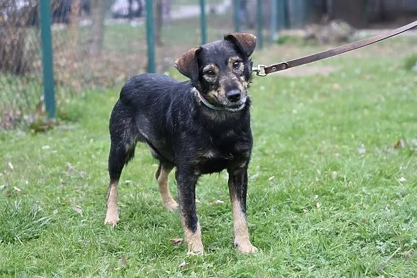 Wyjątkowy ,,okularnik