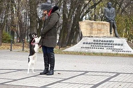 Niewielka, zakochana w człowieku Tolka, grzeczna s