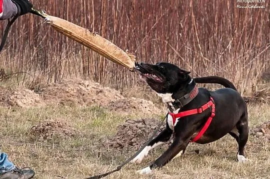 Brodway szuka człowieka