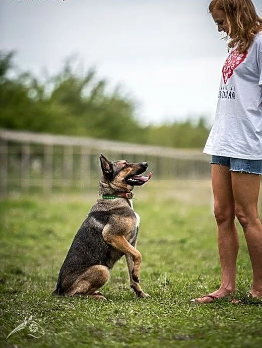 Kimba nie wie co to nuda, marzy jej się ciepła bud
