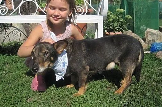 Gacek czeka na uśmiech losu!,  mazowieckie Warszaw