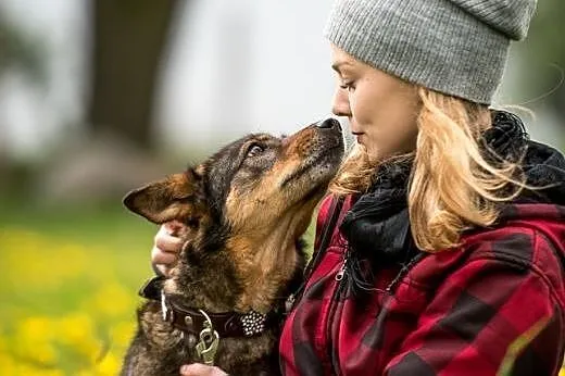 Megi - wrażliwa, ułożona, cud psia istota do adopc