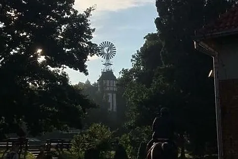 Indywidualne treningi w stajni pod Warszawą, Mazowieckie, Józefów