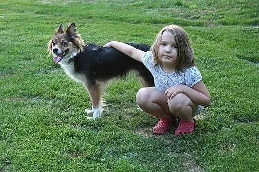 Piękna, przyjacielska i niewielka - Bella szuka do